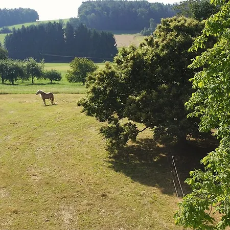 Panoramablick Hoellbachtal Rettenbach (Cham)