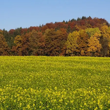 Panoramablick Hoellbachtal *