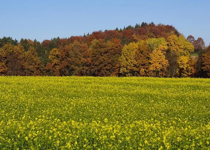Panoramablick Hoellbachtal *
