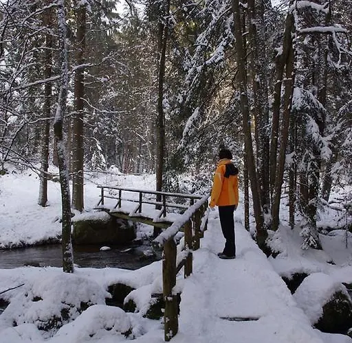 公寓 Panoramablick Hoellbachtal Rettenbach (Cham)
